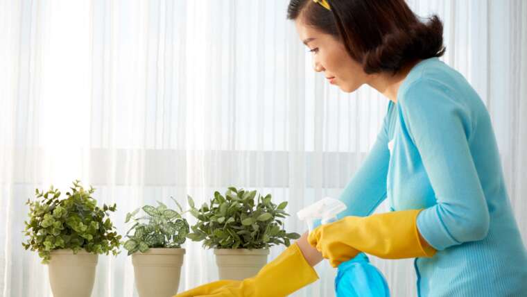 Cleaning and disinfection, Cleaning and Disinfection Tips to Avoid Coronavirus Spread